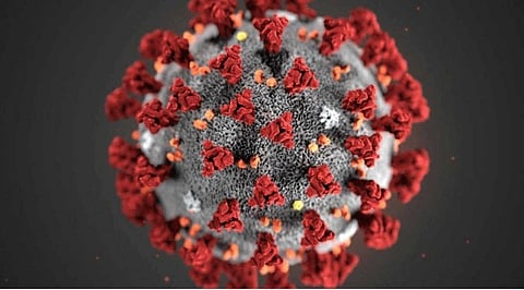 coronavirus impact Disaster Management Act applies in Kolhapur marathi news