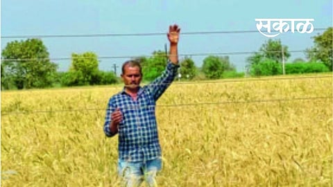 अन्यथा वीजतारांना स्पर्शू करून आत्महत्या करू!