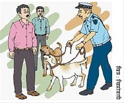 प्रात्यक्षिक परीक्षा