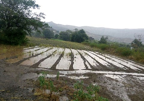 पाऊस दिसतोय, पण रुसतोय...