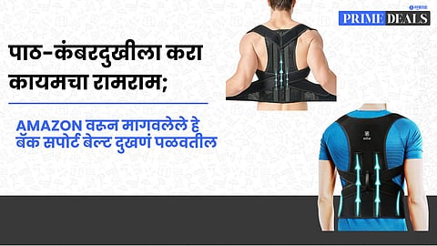 Back Support Belt