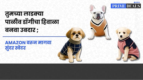 Deals On Dog Sweater