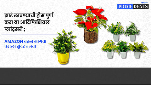 Fake plants for living room