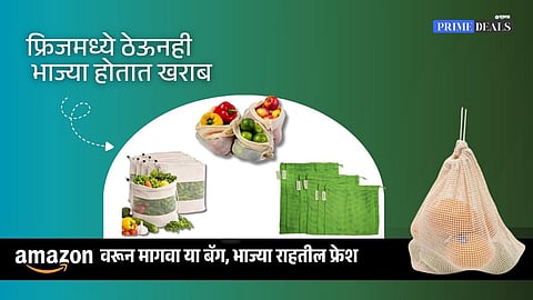 buy vegetable bags for fridge