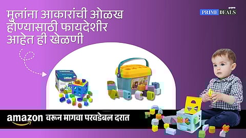 Shape Sorter Toys for Kids