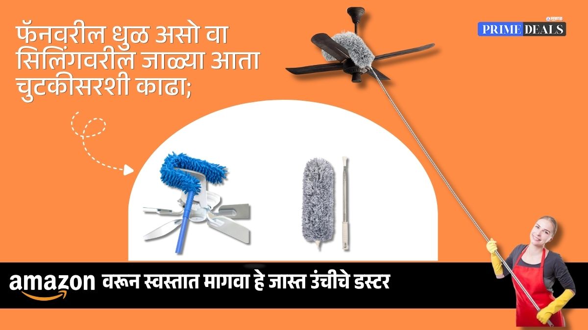 Buy fan duster for home use
