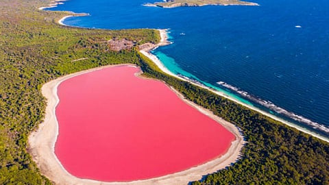 7 Pink Lakes Around The World