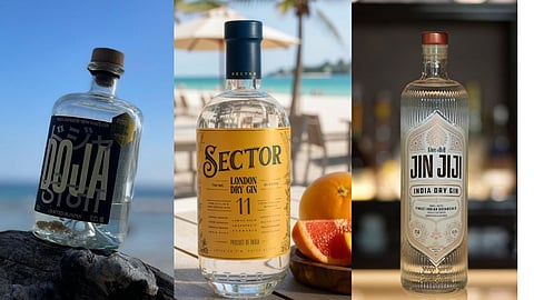 Best Indian Gins Under 3000