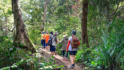 Thailand Trekking Tour