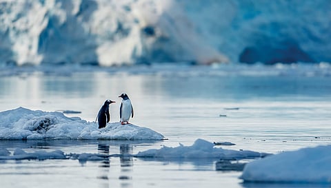 Antarctica exploration