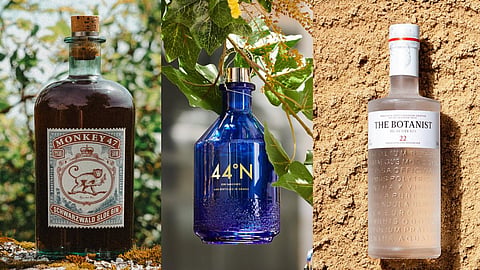 Premium Gin Brands in India