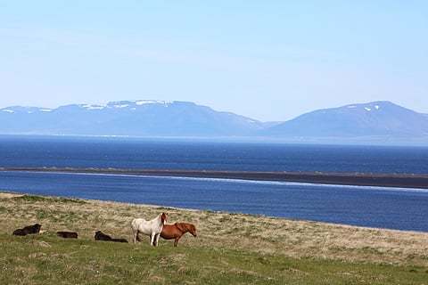 Solace in Solitude, In The Land of Fire And Ice