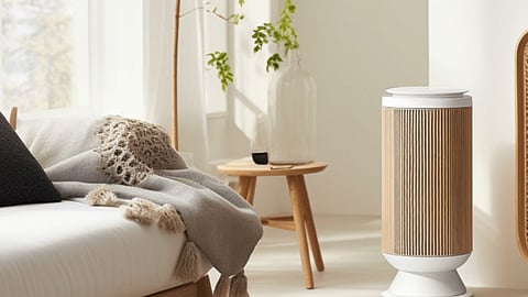 Best Air Purifiers for Home