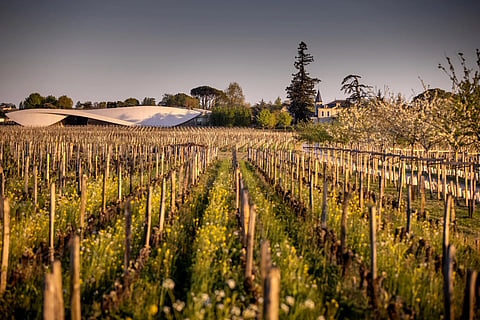 Château Cheval Blanc