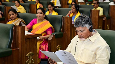 After long gap, Andhra gets more state-specific allocations in Union Budget