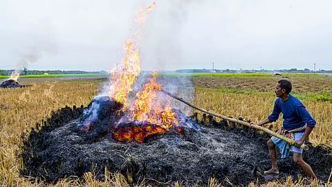 14 farmers arrested in Haryana for stubble burning amid rising pollution