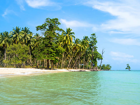 Jairam Ramesh critiques Great Nicobar project's environmental impact claims