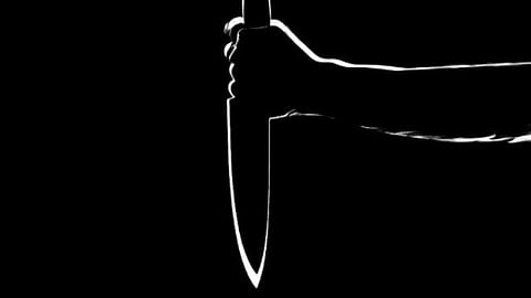 Man allegedly kills wife and mother-in-law over social media post in West Tripura