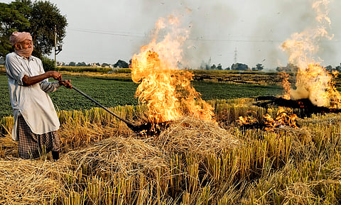 Haryana suspends 24 agriculture dept officials over failure to prevent stubble burning incidents