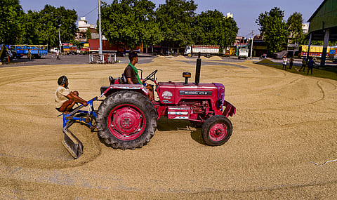 Govt lifts curbs on rice exports, removes floor price for non-basmati grain