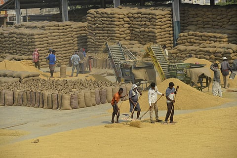 Govt approves new storage amid high paddy procurement in Punjab, says Union Minister