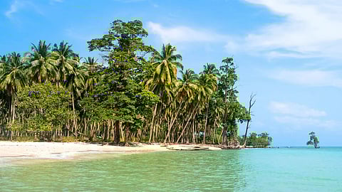 Plans to expand Blue Flag beach network in Andamans to boost eco-tourism: Chief Secretary