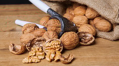 Walnuts among Omega-3 foods linked to brain development benefits in children and adolescents