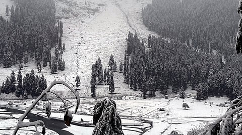 Srinagar airport cancels 50 flights amid snowfall