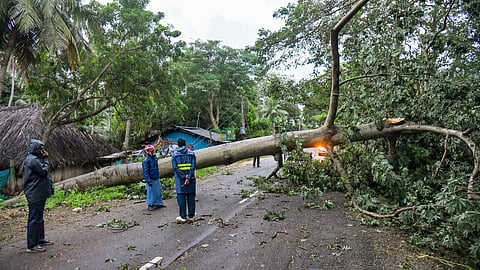 Over 11,000 power staff deployed in Andhra during Cyclone Montha: Chief Secretary
