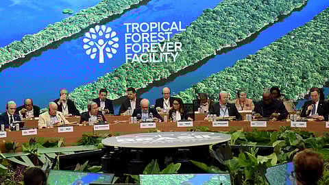 India joins Brazil-led forest fund as observer, calls for stronger ambition 10 yrs after Paris pact