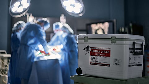 SC asks Centre to frame national policy, uniform rules on organ transplantation