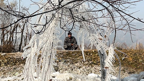 Kashmir is experiencing its coldest November since 2007; Mercury in Srinagar drops to -4.5°C