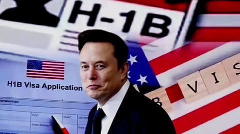 Elon Musk backs H-1B visas, says US 'benefited immensely from talented Indians'