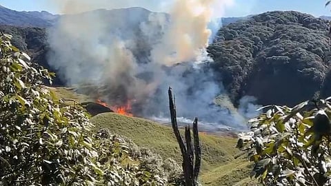 Wildfire rages in famed Dzukou Valley for 3rd day, aerial ops likely to be conducted