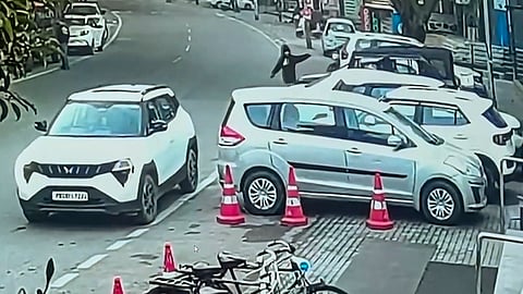 Gangster Joga Pholriwal among 2 booked for AAP leader’s daylight murder in Jalandhar