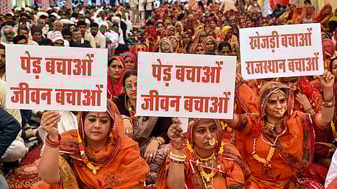Rajasthan govt gives assurance no khejri tree will be cut illegally; protest concludes