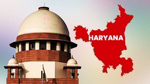 Nepotism, self-aggrandizement anathema to democratic system: SC