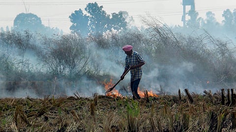 Subsidies, incentives of over 1,800 farmers blocked in Bihar for stubble burning