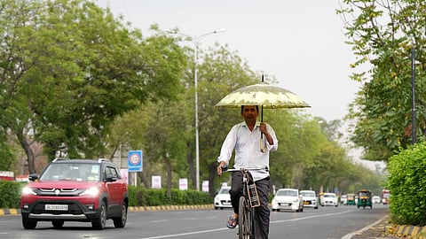 All restrictions under GRAP in Delhi-NCR revoked as air quality improves significantly