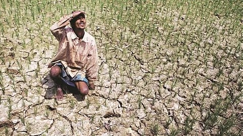 Climate stress affecting India's economy, aggravating health risks: Report