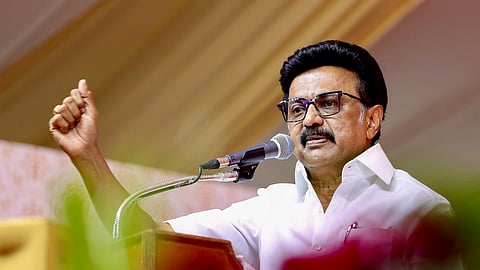'We work, they talk': CM Stalin slams opposition at poll rally
