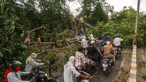 Storms and lightning kill 89 in Uttar Pradesh, CM orders swift relief