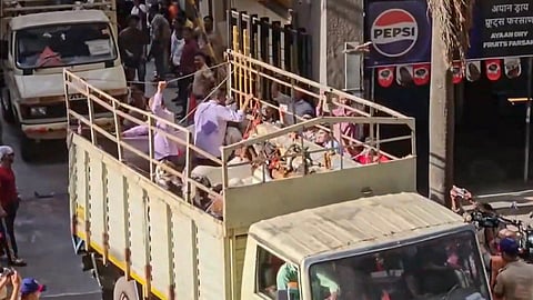 Clashes erupt in Mumbai's society over goats brought for Eid sacrifice