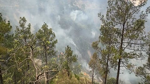 Major forest fire breaks out in Salal forest area, firefighting underway