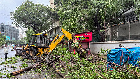 Record rains lash Mumbai region, 13 dead as Maharashtra put on red alert