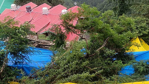 Heavy rain triggers landslide scare in Shimla's Sanjauli, several houses affected