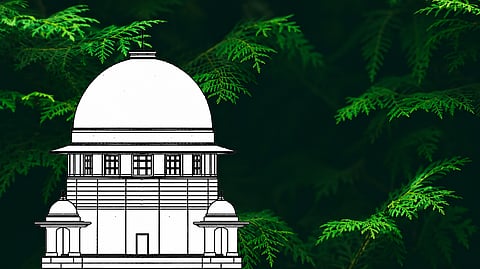 SC rules prior environmental nod mandatory, limits post-facto approvals of Centre, others
