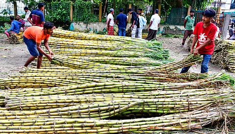 The move comes as the average retail price of sugar rose 37 per cent year-on-year to Rs 63.28 per kg on August 31 | Representational image/PTI