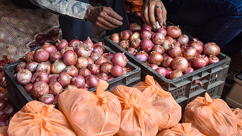 Bengal gets 1,400 tonnes of discounted onions as Centre steps up supply before festive season | File Image
