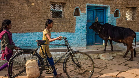 For decades, attracting more visitors was considered a measure of tourism success. Now, some of the world’s smallest destinations are asking how many are simply too many